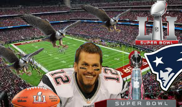 [SATIRE] Patriots Defeat Falcons to Win Super Bowl – Lose to Actual Falcons in Parking Lot on Way to Hotel